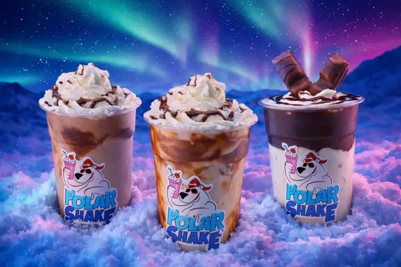 Polar Shake - Branding